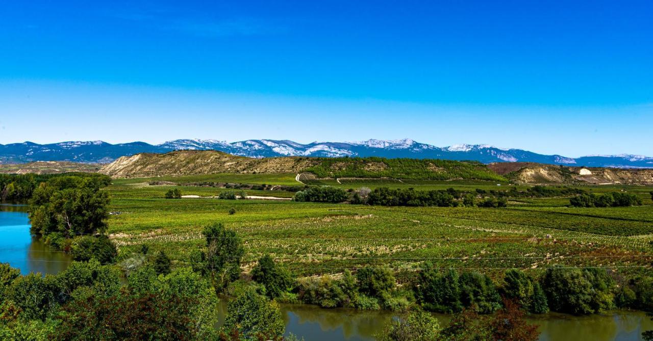 Apartamento Virgen Del Valle Cenicero Exteriör bild